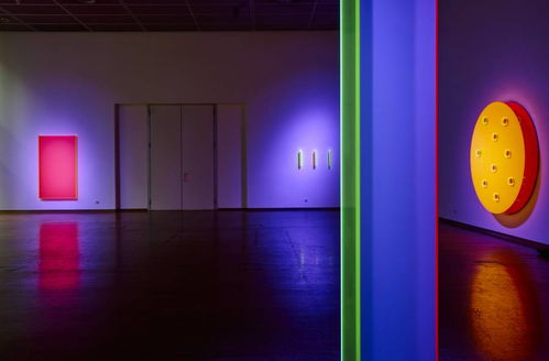 德国艺术家Regine Schumann 的荧光亚克力玻璃艺术